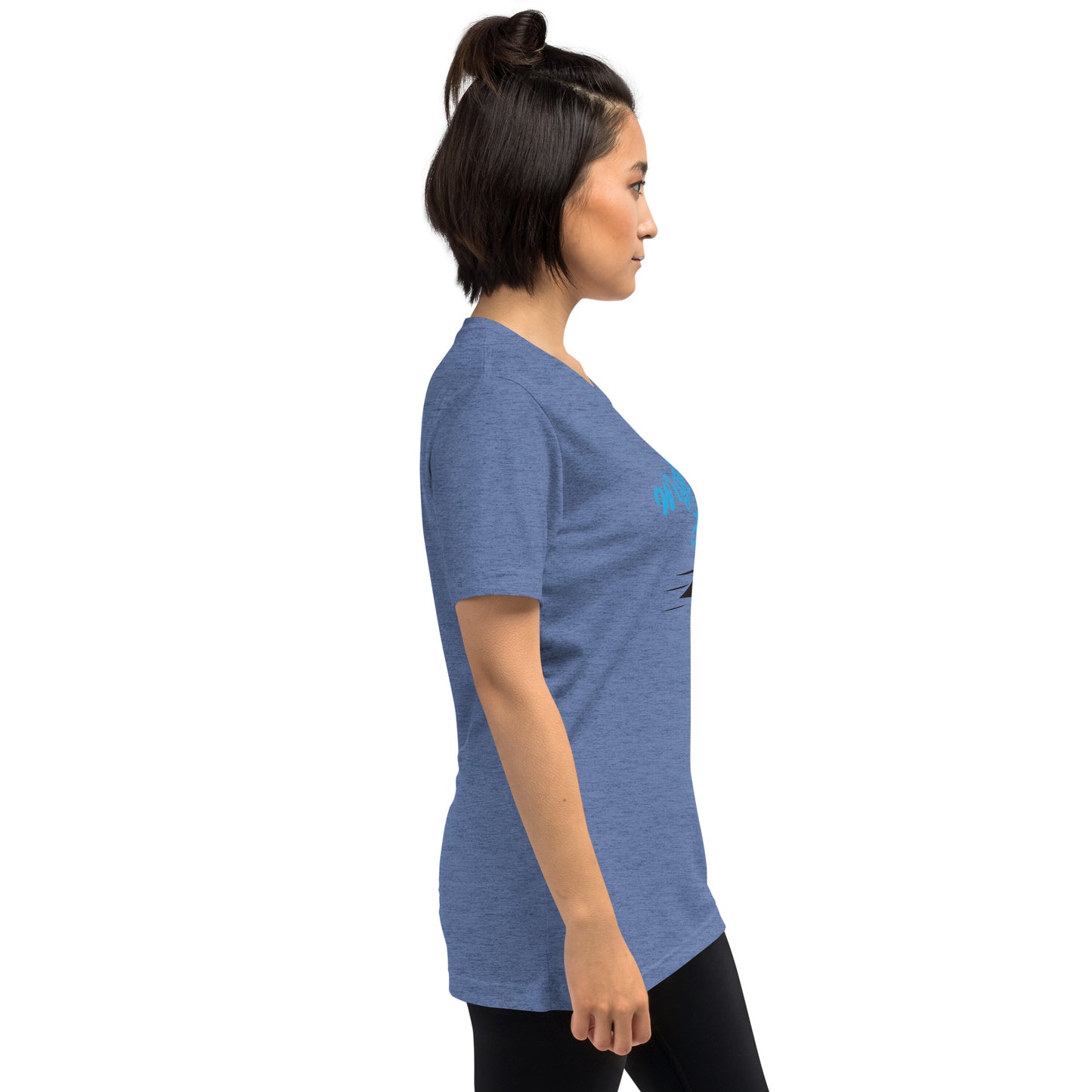 Wiggins Lake Loon / Tri-Blend Unisex T-Shirt