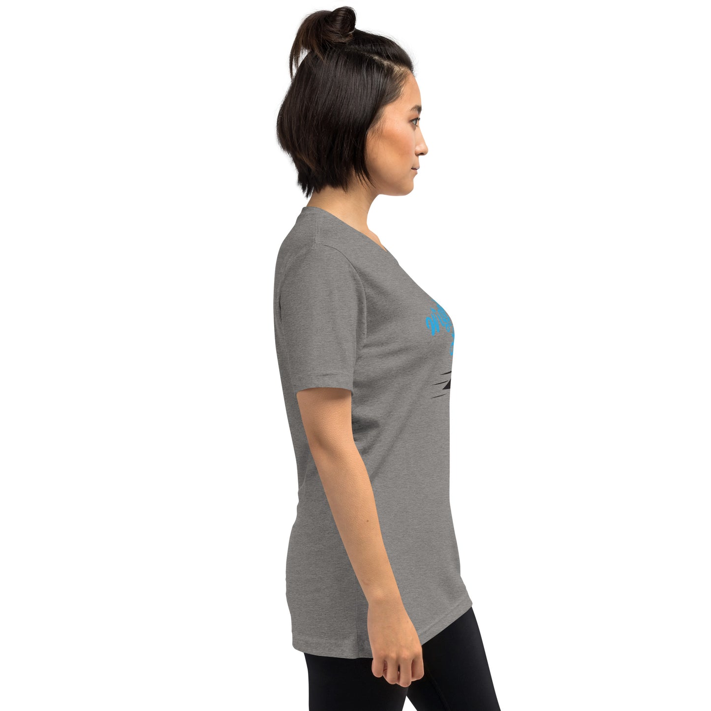 Wiggins Lake Loon / Tri-Blend Unisex T-Shirt
